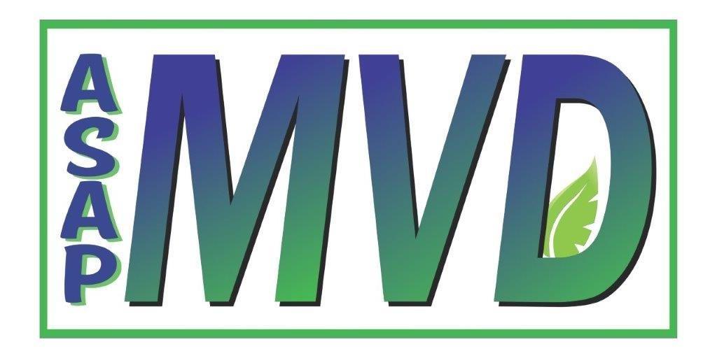 Motor Vehicle Services Logo